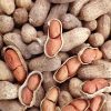 جدول تغذیه بادام زمینی کیاسم