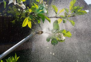صابون محلول پاشی