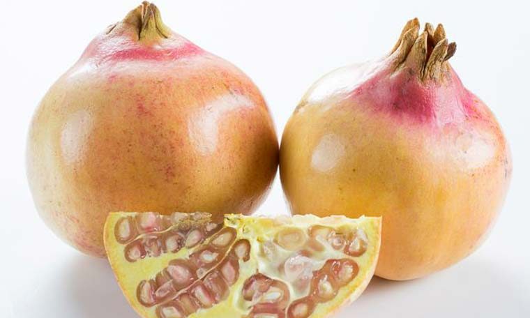 عارضه دانه سفیدی انار