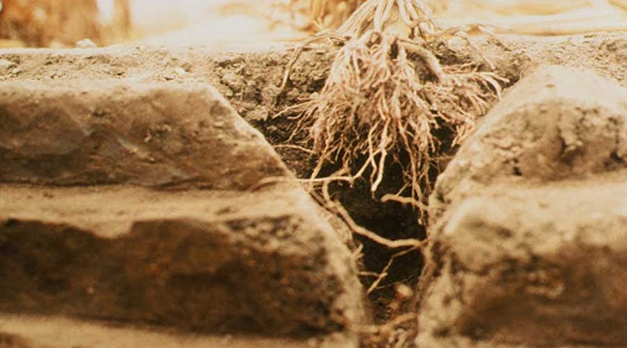 فشردگی خاک کشاورزی
