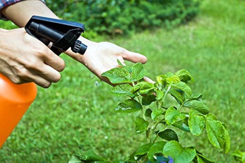 کود اسید آمینه برای گیاهان آپارتمانی
