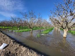 مدیریت آب شور