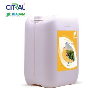 آنتی سالتو