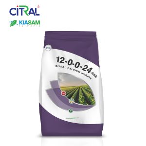 نیترات کلسیم
