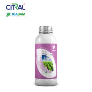 استات پتاسیم